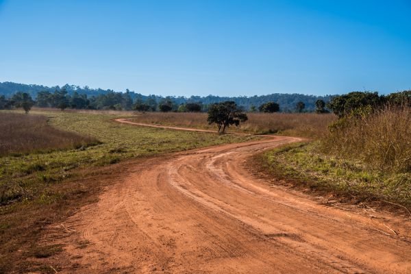 Dirt Driveway Repair in Tallahassee