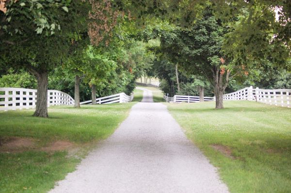 Cost of Gravel Road Installation in Tallahassee