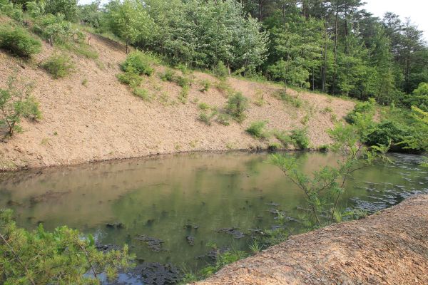 Cost of Pond Erosion Repair in Tallahassee