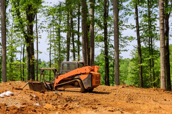 Cost of Lot Leveling in Tallahassee