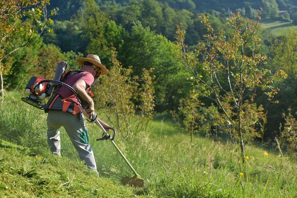 Cost of Slope Trimming in Tallahassee